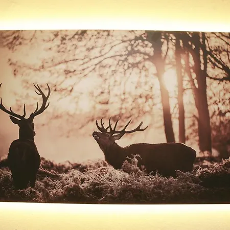 Vendégház And Cityhotel Edelweiss - Self Check In 3*